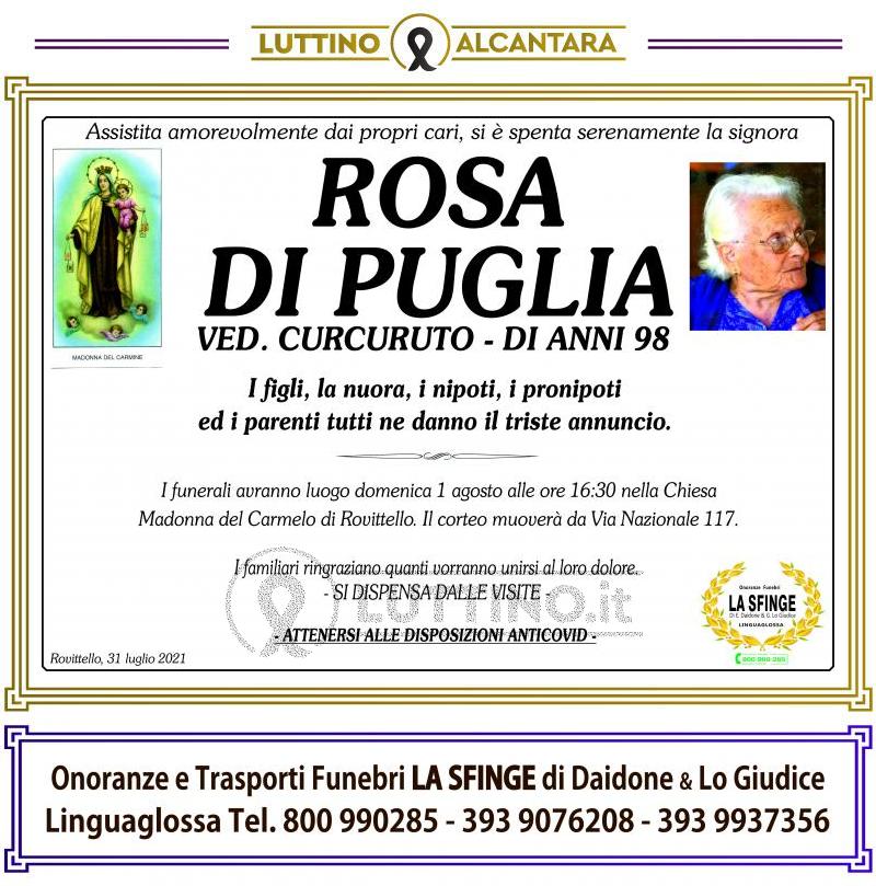 Rosa  Di Puglia 